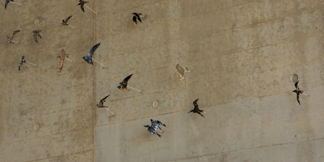 エントランスホールの壁には、ヨシ原を飛び交うツバメの群れのデザインアートが