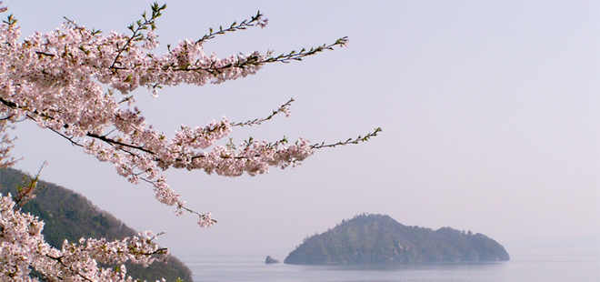 春景色の中の竹生島（滋賀県観光情報フォトライブラリー提供）